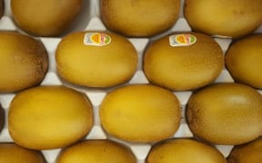 The attack of PSA led to the growth of a new breed of golden Kiwifruit - Zespri Sungold