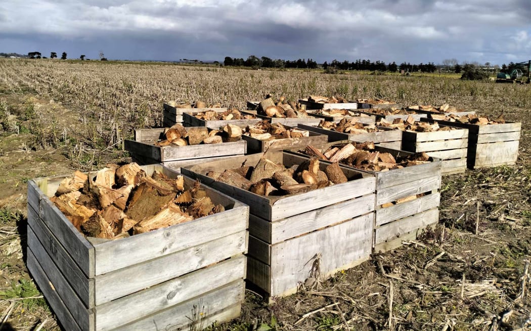 Firewood ready for distribution.
