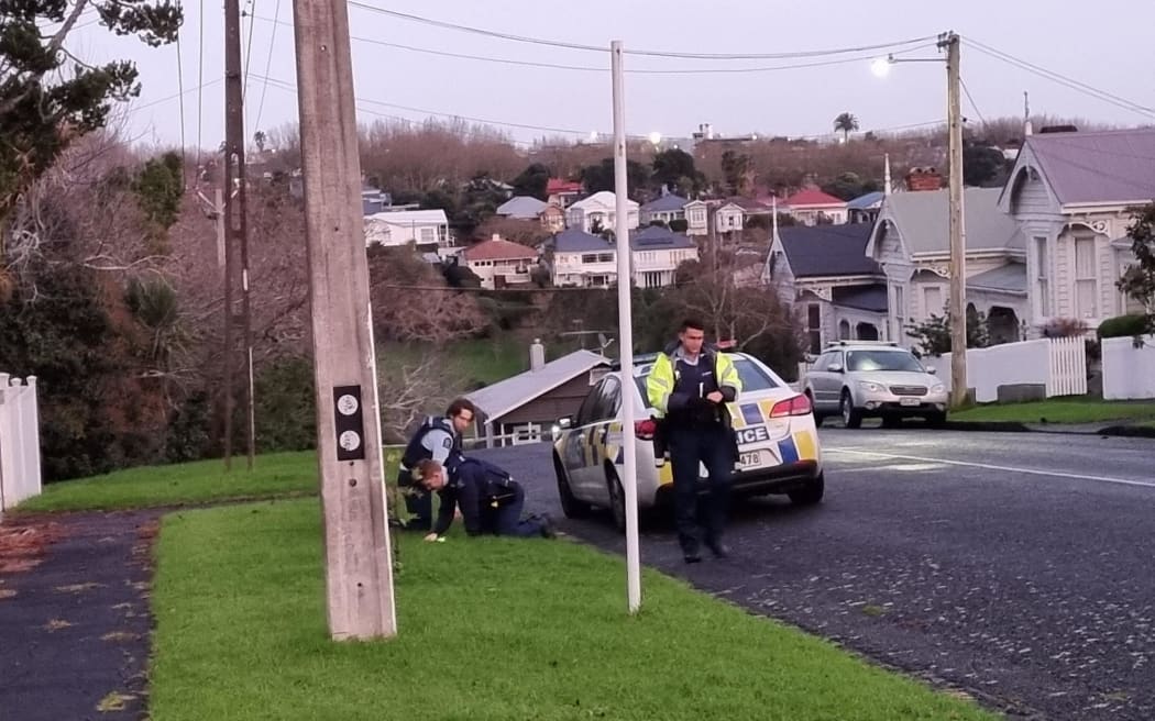 Grey Lynn incident - man shoots at house before being shot by police