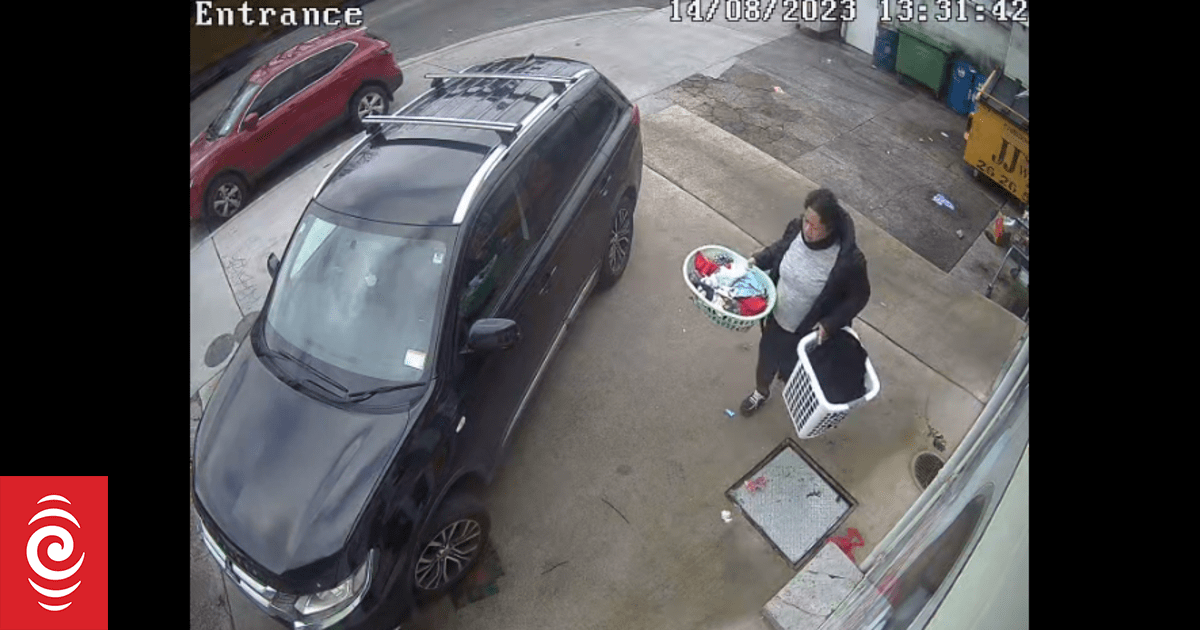 Police find van stolen with baby inside in West Auckland - Vimarsana News