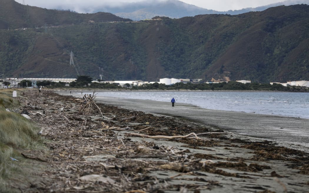 Winter, Petone Beach, Wellington.