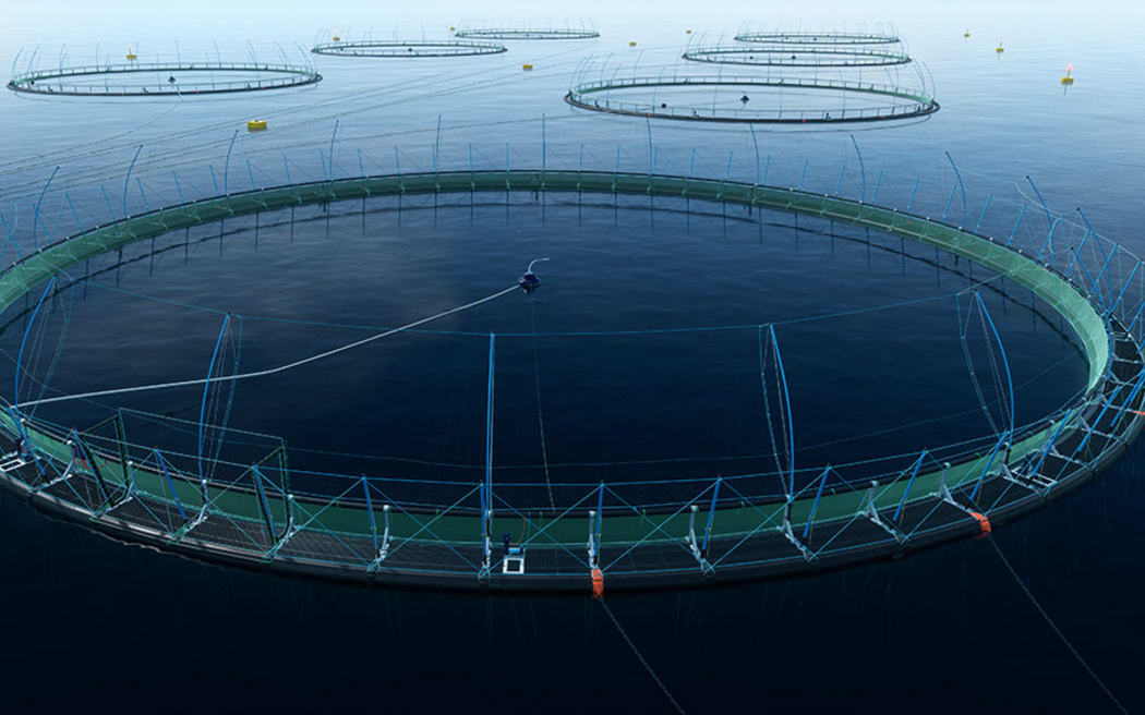 The Blue Endeavour farm NZ King Salmon wants to build in the ocean