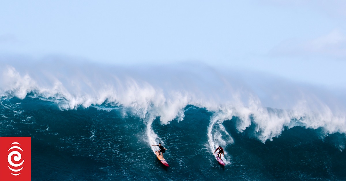 'The Eddie' surfing competition returns to Hawaii RNZ