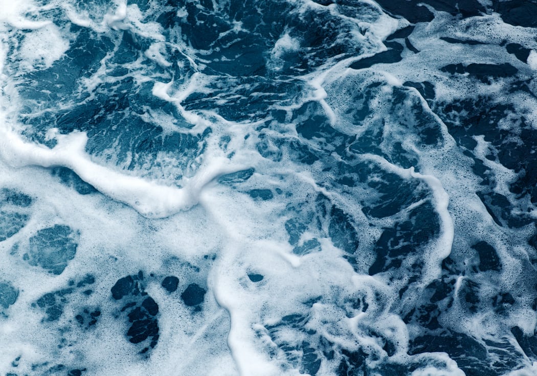 Salt water science underestimated and essential to life - Timothy Duignan |  RNZ