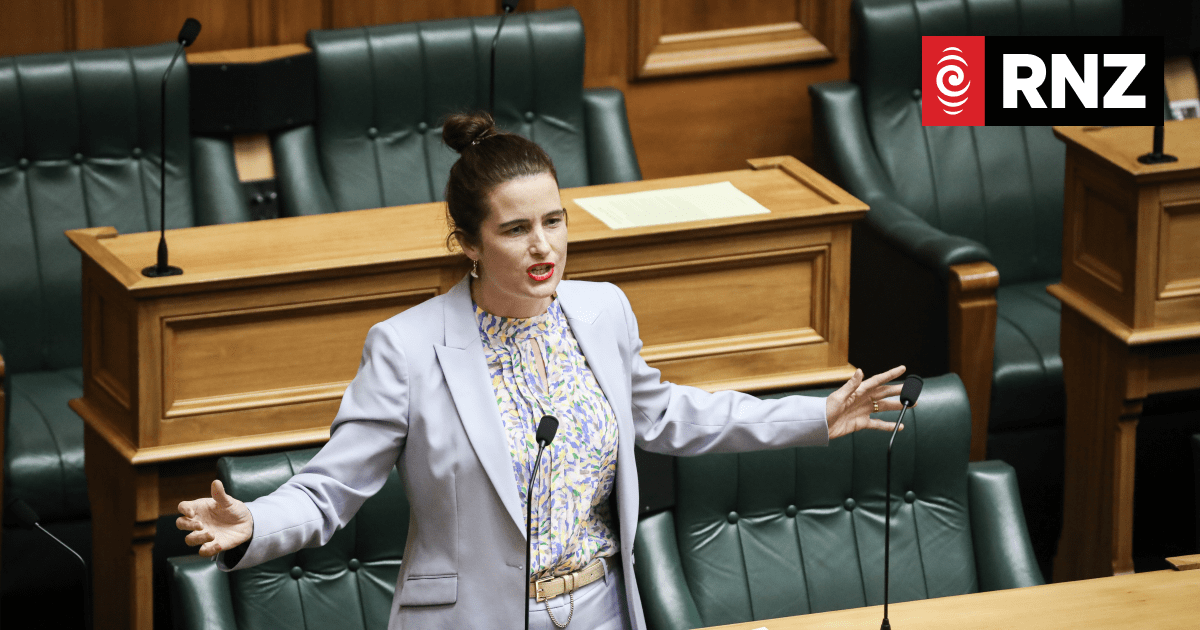 Labour blocks National's paid parental leave bill that would have allowed parents to share time off - Vimarsana News