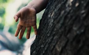 child's hand touches tree trunk