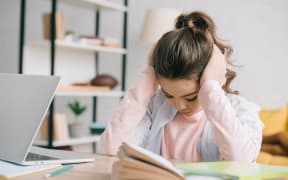 Child / Student doing school work at home.