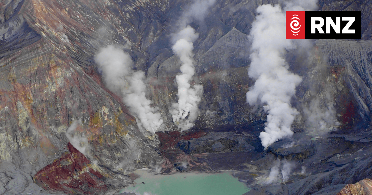 Whakaari / White Island owners had no reason to believe safety measures inferior, court told - Vimarsana News
