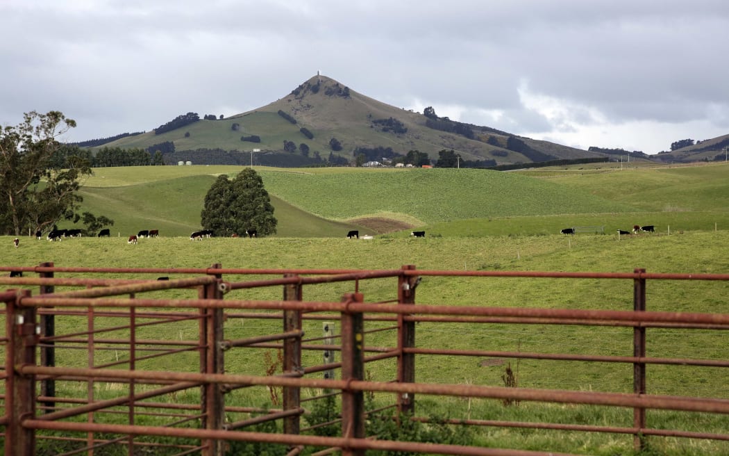 Otago farm