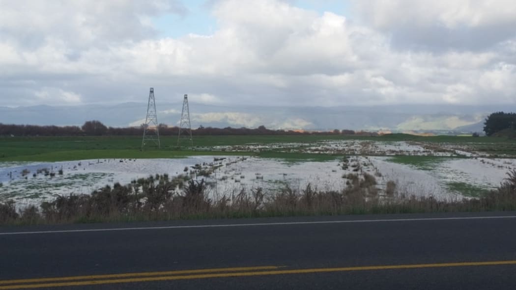 Flooded paddocks near Foxton after this weekend's rainstorm.