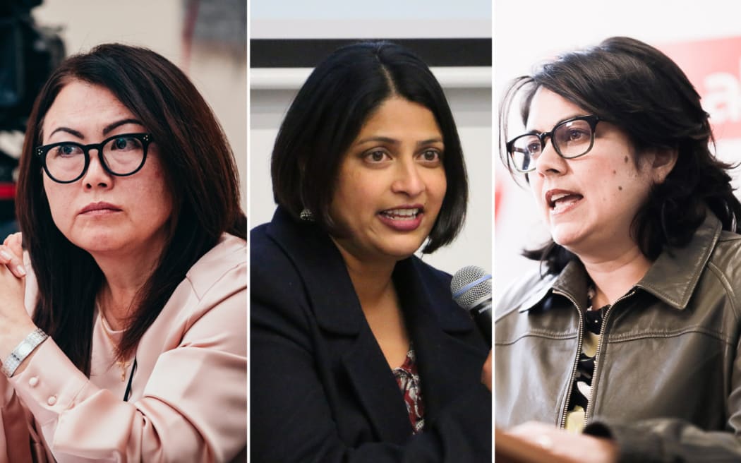 Some of the ethnically diverse MPs to have a seat in Parliament are Melissa Lee for National and Priyanca Radhakrishnan and Ayesha Verrall for Labour.
