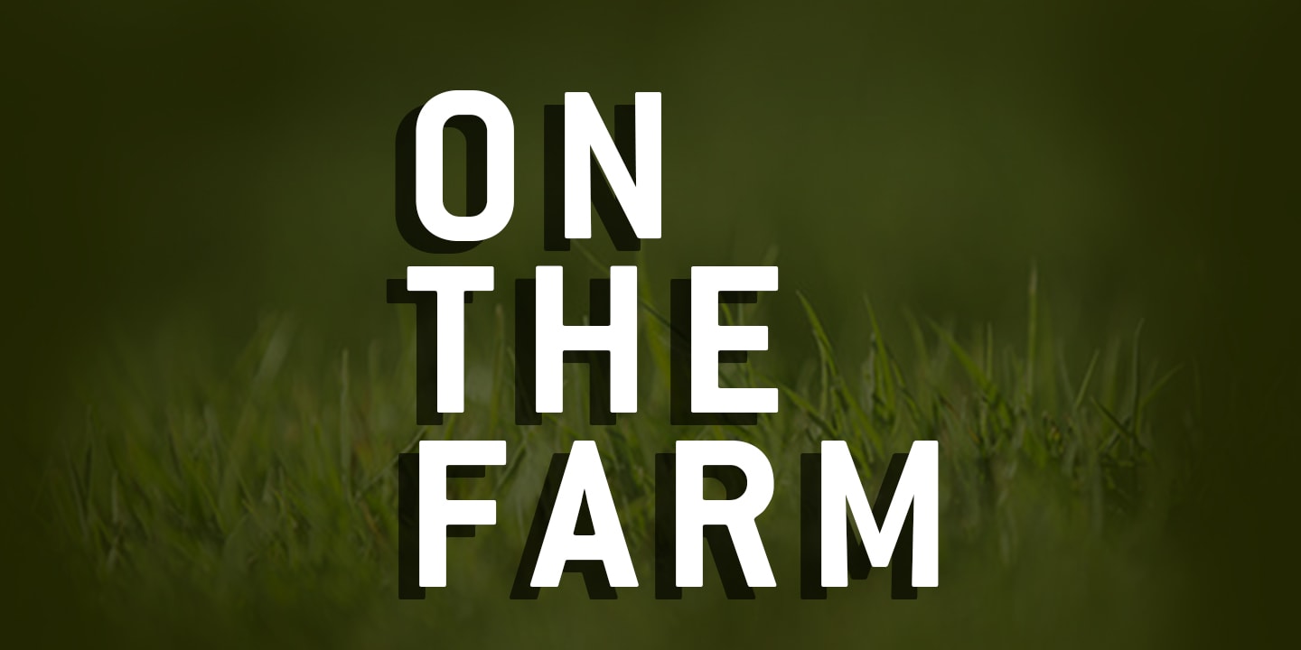 Graphic for On the Farm