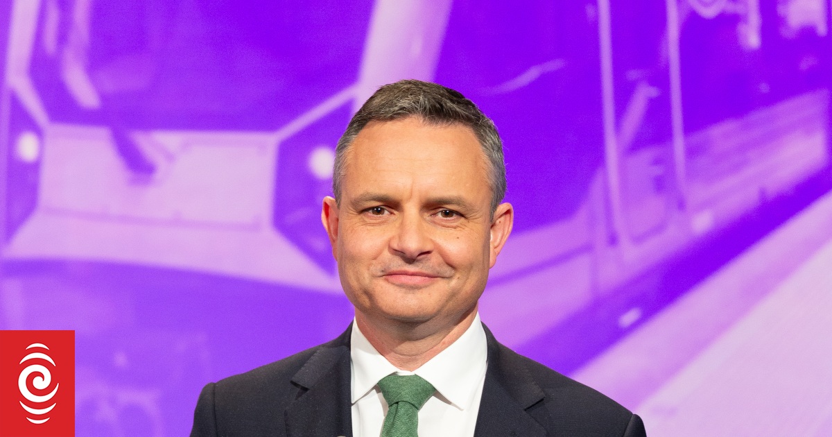 Greens' James Shaw on social housing policy RNZ